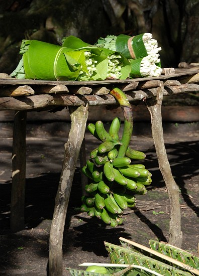 75- Choux de Chine et bananes poingo.JPG